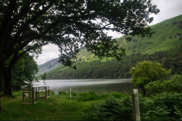 istock countryside  scene with lake 1965466460