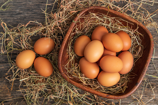 Fresh chicken eggs in a wooden tray after the hen laid them in a pile of grass and straw.