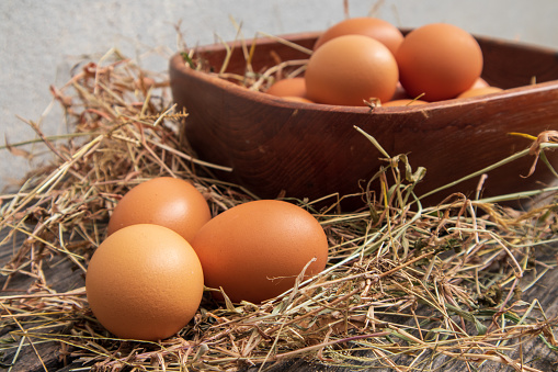 Fresh chicken eggs in a wooden tray after the hen laid them in a pile of grass and straw.