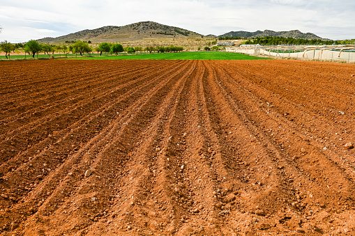 Vibrant red soil ready for planting, with neat rows, against a backdrop of green trees and distant hills