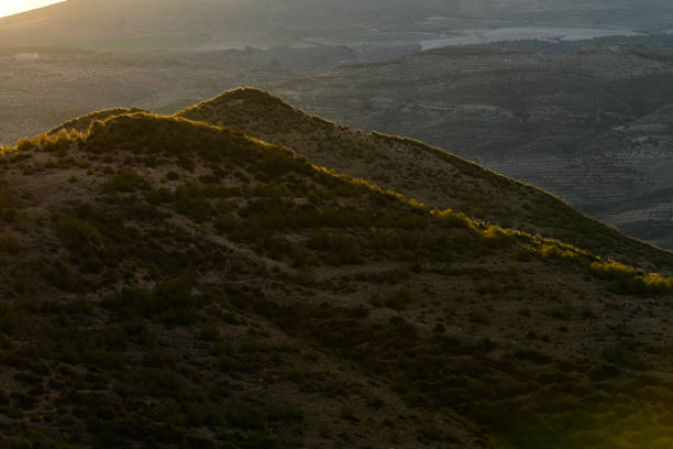 The first rays of sunrise illuminate a desert hillside, creating a stunning contrast of light and shadow