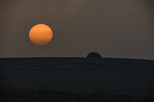 The silhouette of a single tree is dramatically outlined against the glowing orb of the setting sun on a tranquil hill