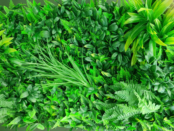 istock Artificial vertical landscaping interior, eco design for green plant background 1965559834
