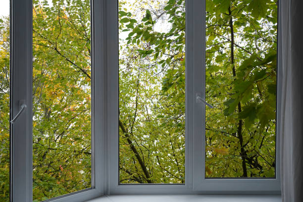 istock View from the window, green trees in the park. 1965564665
