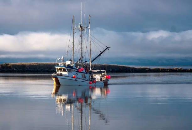 istock Fishing vessel sails in on placid waters 1965568362