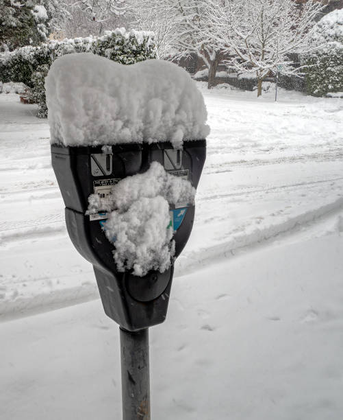 istock Snow covered parking meter appears as eyes in a face 1965569409