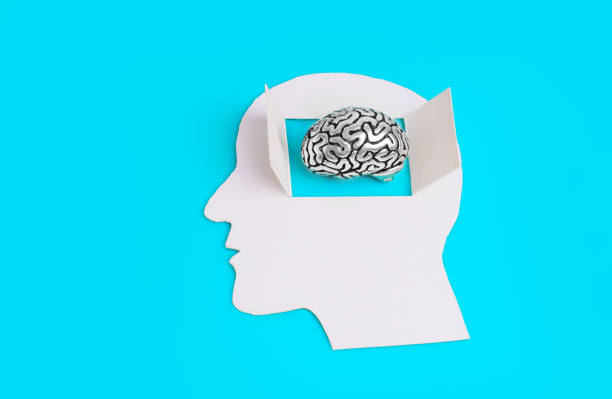 Male head paper cutout with an open window, showing a miniature steel brain model. Open mind related concept.