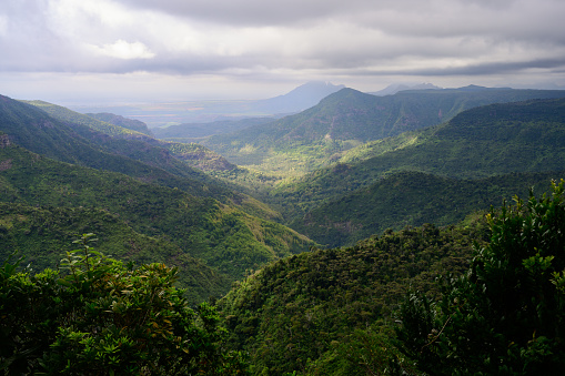 Black River Gorge Viewpoint with Lush Green Rainforest Valley in Mauritius