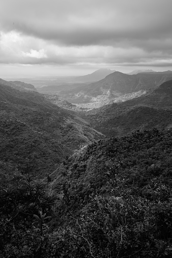 Black River Gorge Viewpoint with Lush Green Rainforest Valley in Mauritius Black and White