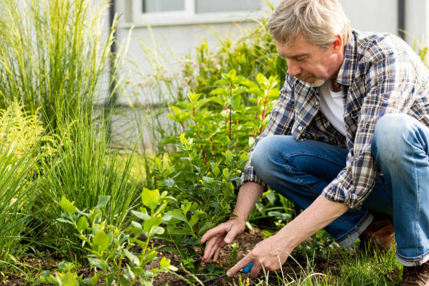 istock 50 year old white farmer tending garden plants 1965676515