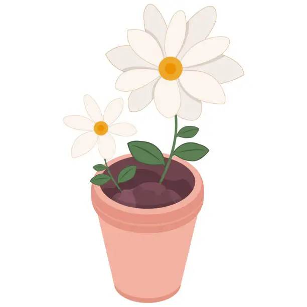 Vector illustration of Sunny Daisies in a Pink Pot