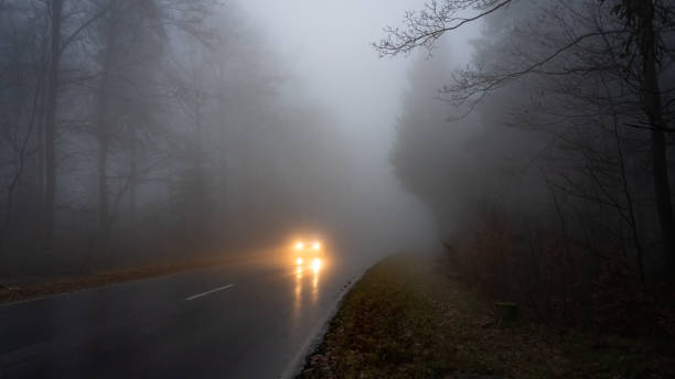 auto mit den beleuchteten scheinwerfern auf der nassen straße im dunklen und nebligen wald - nebel stock-fotos und bilder