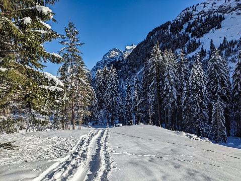Beautiful winter landscape with forest and mountains and sunshine near Richtisau Glarus. Tracks in the snow. High quality photo