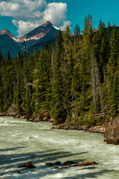 istock Kicking Horse River Yoho National Park British Columbia Canada 1965905711