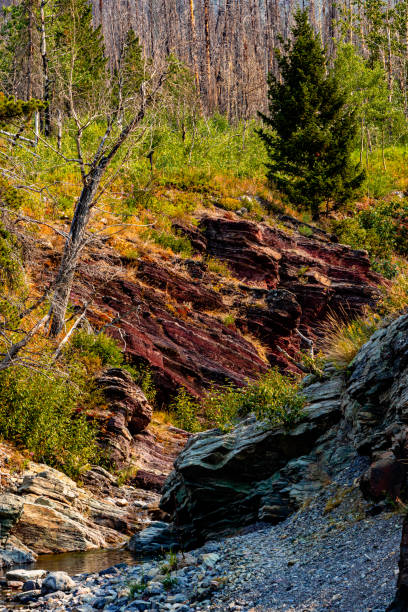 istock Red Rock Canyon Waterton Lakes National Park Alberta Canada 1965916604