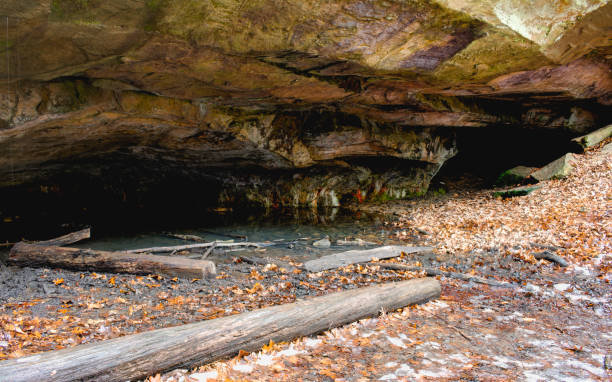 entrée intérieure de la grotte dans woodland - cave fern flowing forest photos et images de collection
