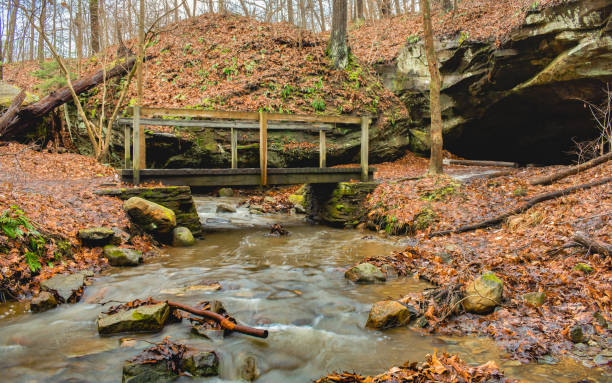pont sur le ruisseau menant à la grotte de la forêt - cave fern flowing forest photos et images de collection