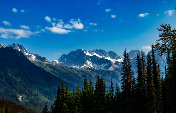 roadside hwy 1 glacier national park british columbia canada - british columbia glacier national park british columbia wildlife canada photos et images de collection