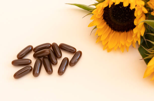 top view lecithin supplement, brown softgel pills on beige background with sunflower plant. dietary capsule or herbal supplement, healthy lifestyle. horizontal plane - lecithin capsule vitamin pill brown imagens e fotografias de stock