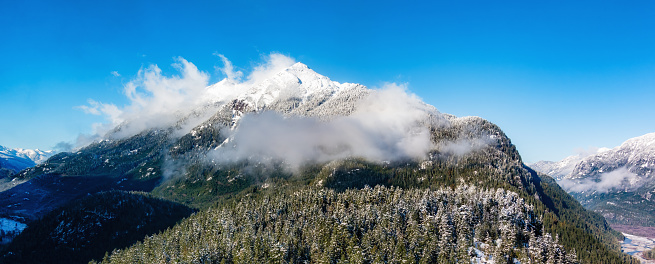 Snow Covered Evergreen Trees with Mountain Landscape in Background. Aerial Nature Background. BC, Canada. Panorama