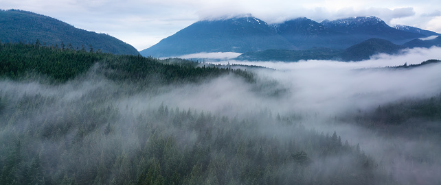 Fog covered trees and mountains landscape. Cloudy Sunrise. Vancouver Island, BC, Canada.
