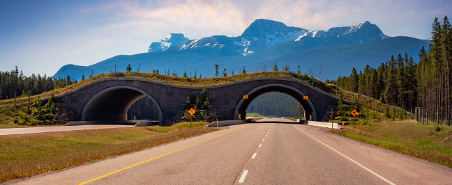 Animal crossing bridge across Trans-Canada Highway in Banff National Park, Alberta, Canada. Panorama