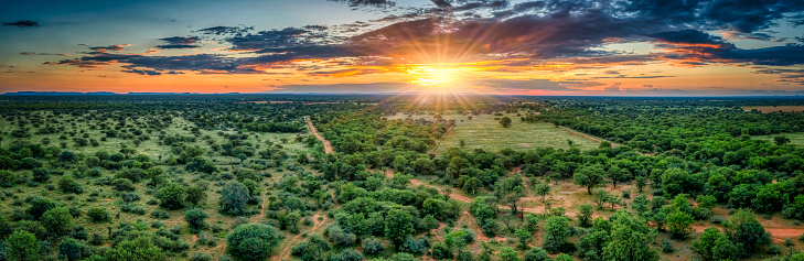 Green African landscape, aerial panorama bush