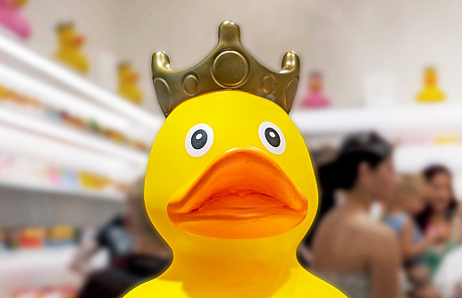cute yellow toy rubber duck with a crown in a display case in a toy store