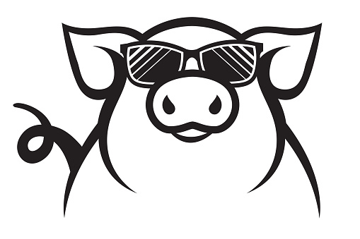 monochrome illustration of pig with glasses isolated on white background