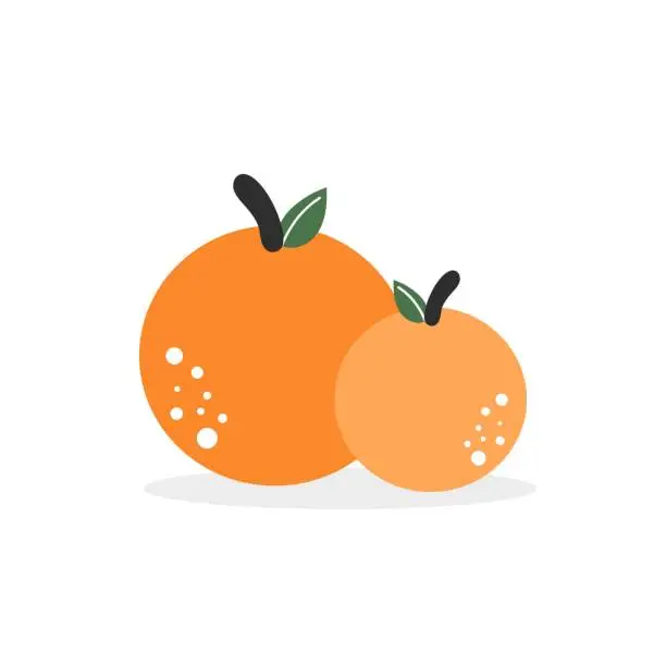 Vector illustration of Illustration of two lucky oranges in Chinese style for Chinese New Year