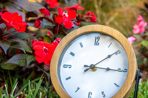 A vintage style clock in front of flowers blooming in the spring. Usable for spring forward/daylight saving time or a reminder.