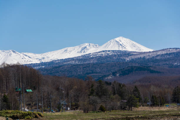 istock Spring forest and snowy mountains on a sunny day 1966094408