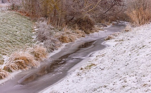 Frozen wetland with trees, bushes and thickets in cold winter