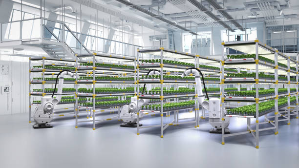 istock Agriculture technology concept with 3d rendering robotic arm spray fertilizer on plants in greenhouse 1966132670