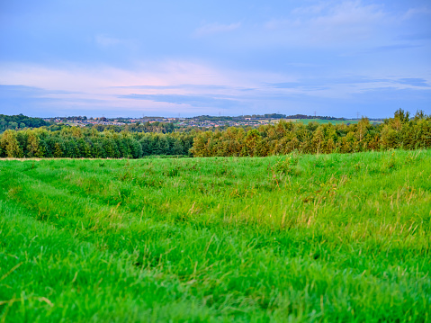 Open Grassy Field Under a Brilliant Blue Sky in Hillsdale, MI, United States