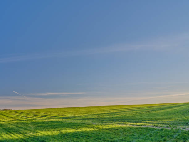 Photo of farmland & countryside in late summer early autumn made by Medium Format camera