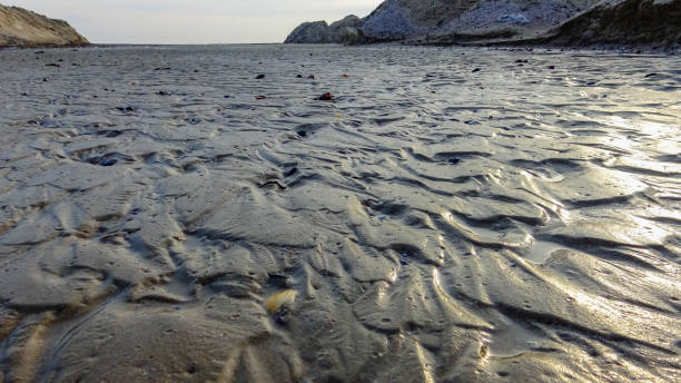 istock Waves on a muddy bottom in a sea channel at low tide 1966142338