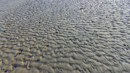 Waves on a muddy bottom in a sea channel at low tide, Ukraine