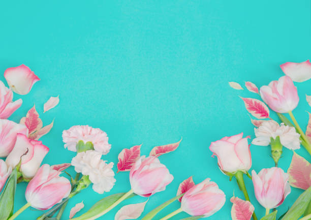 istock beautiful pink spring flowers on blue background 1966144574