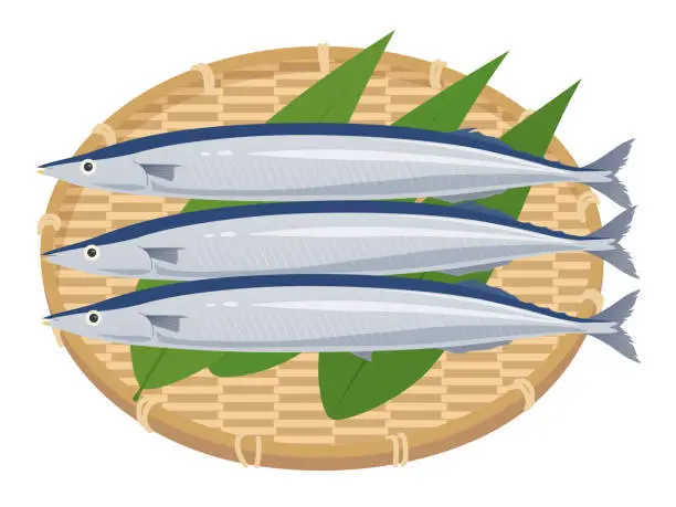 Vector illustration of pike