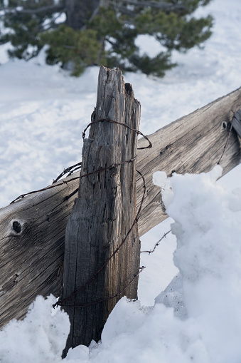 Barbed wire wrapped around wooden fence post in winter with snowy background.