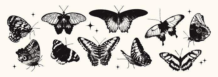 Various butterflies photocopy effect elements set with grunge stippling grain messy texture. Trendy y2k aesthetic vector illustration, Ideal for poster design, t shirt, tee print, sweatshirt