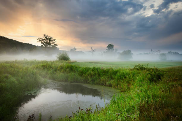 Rogaliński Landscape Park, Poland