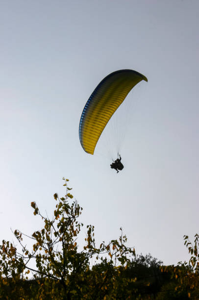 istock Paraglider flies in the air against the blue sky 1966267974