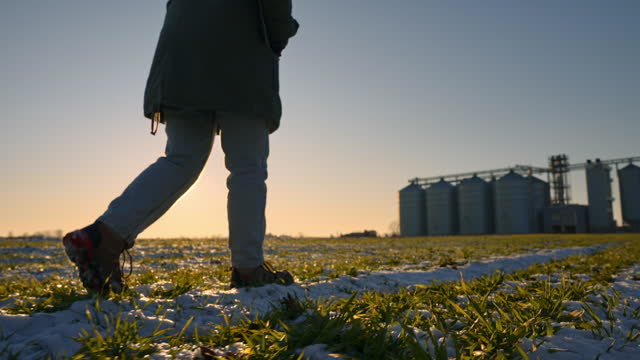 SLO MO Low Section of Young Female Agronomist in Warm Clothes Walking on Snowy Farm with Silos in Background Under Sunset Sky