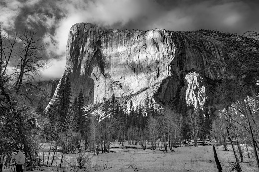 Snowy fields and dark contrast trees silhouette in foreground and sunlit cliffs with foggy skies