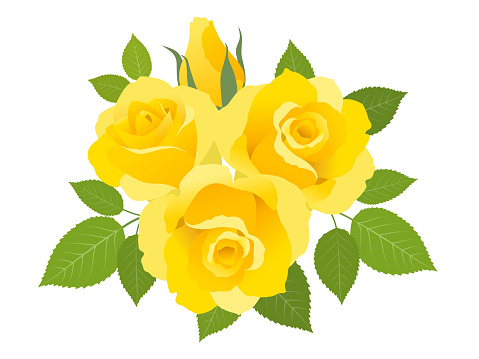 Vector illustration of rose on yellow