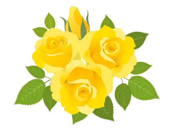 Vector illustration of Vector illustration of rose on yellow