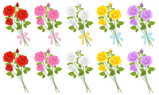 Vector illustration of Set vector illustration of rose bouquet