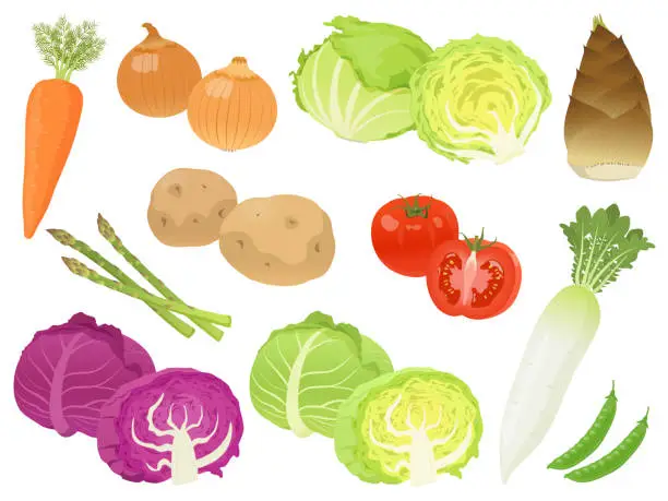 Vector illustration of spring vegetable set